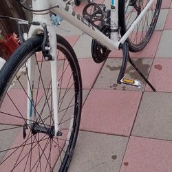 Trek Bike