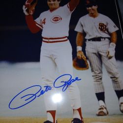 Pete Rose Autographed Photo
