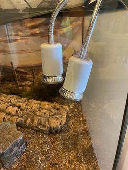 Bearded Dragon Setup, 3 Enclosures + Full Gear, Like New