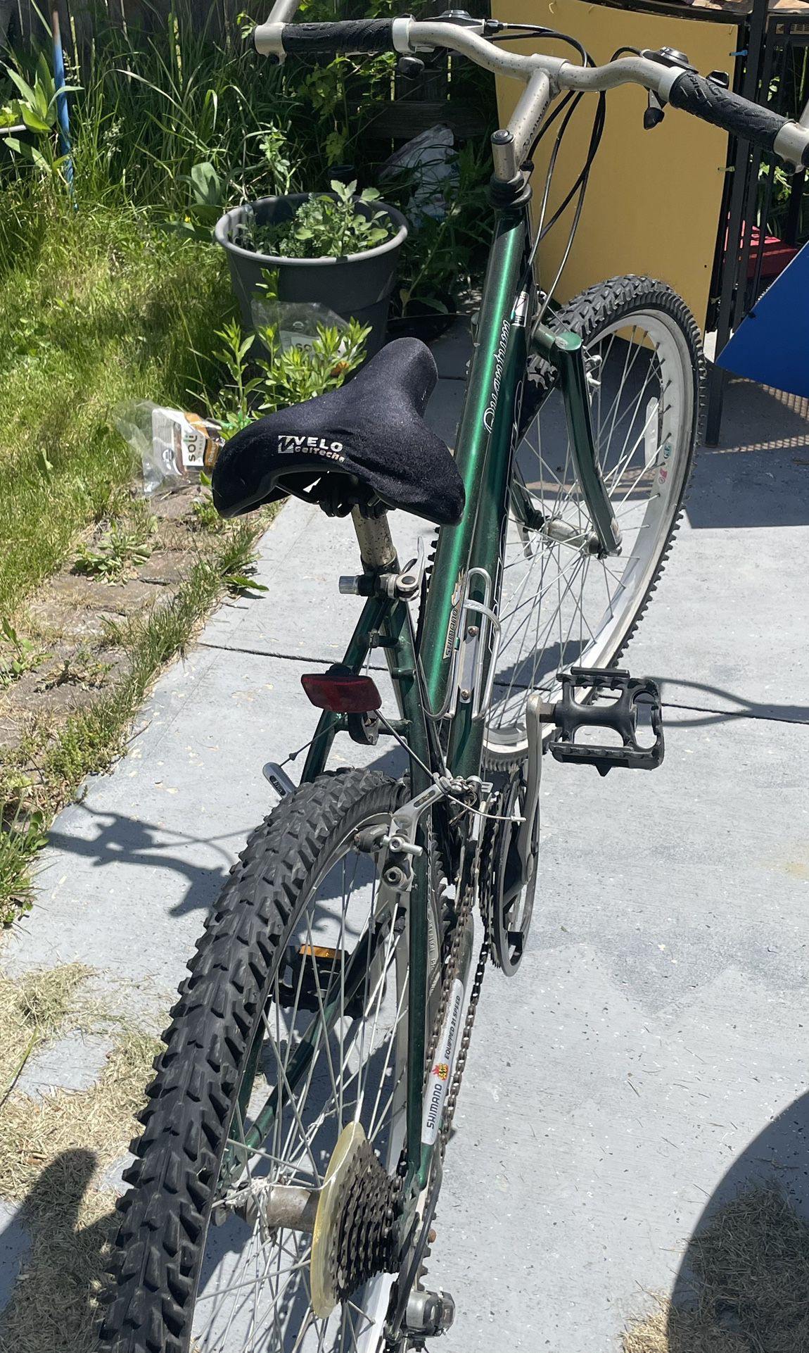 1 Adult Green Mountain Bike 