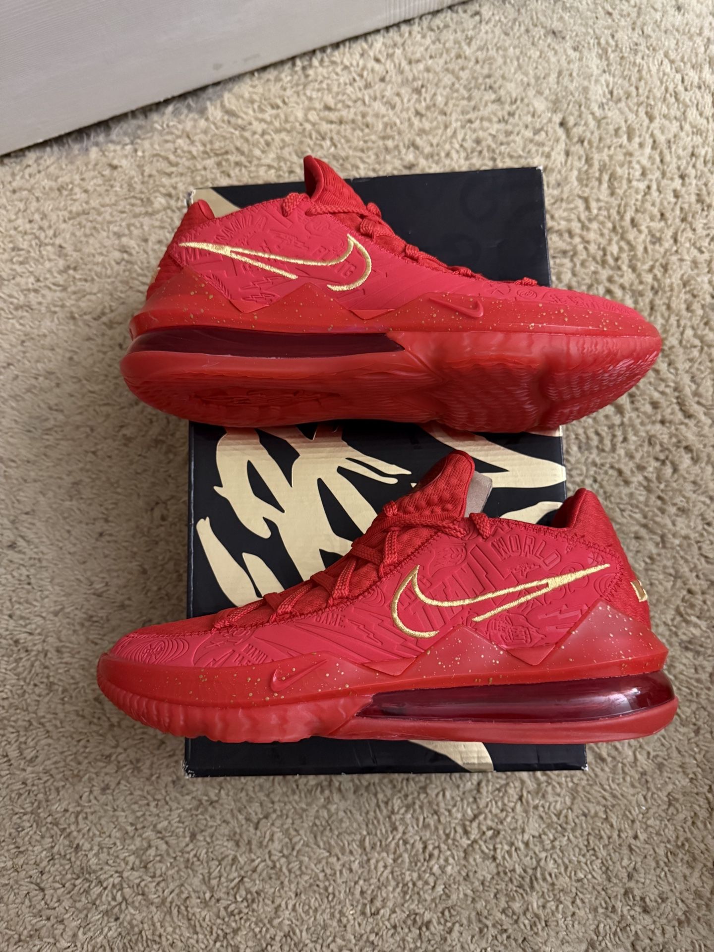 New With Box Size 10 - Titan x Nike LeBron 17 Low Agimat