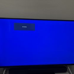 Scepter Flat Screen, Sony soundbar, & Roku.