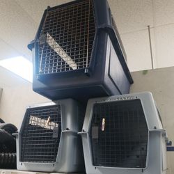Several Kennels For Sale 