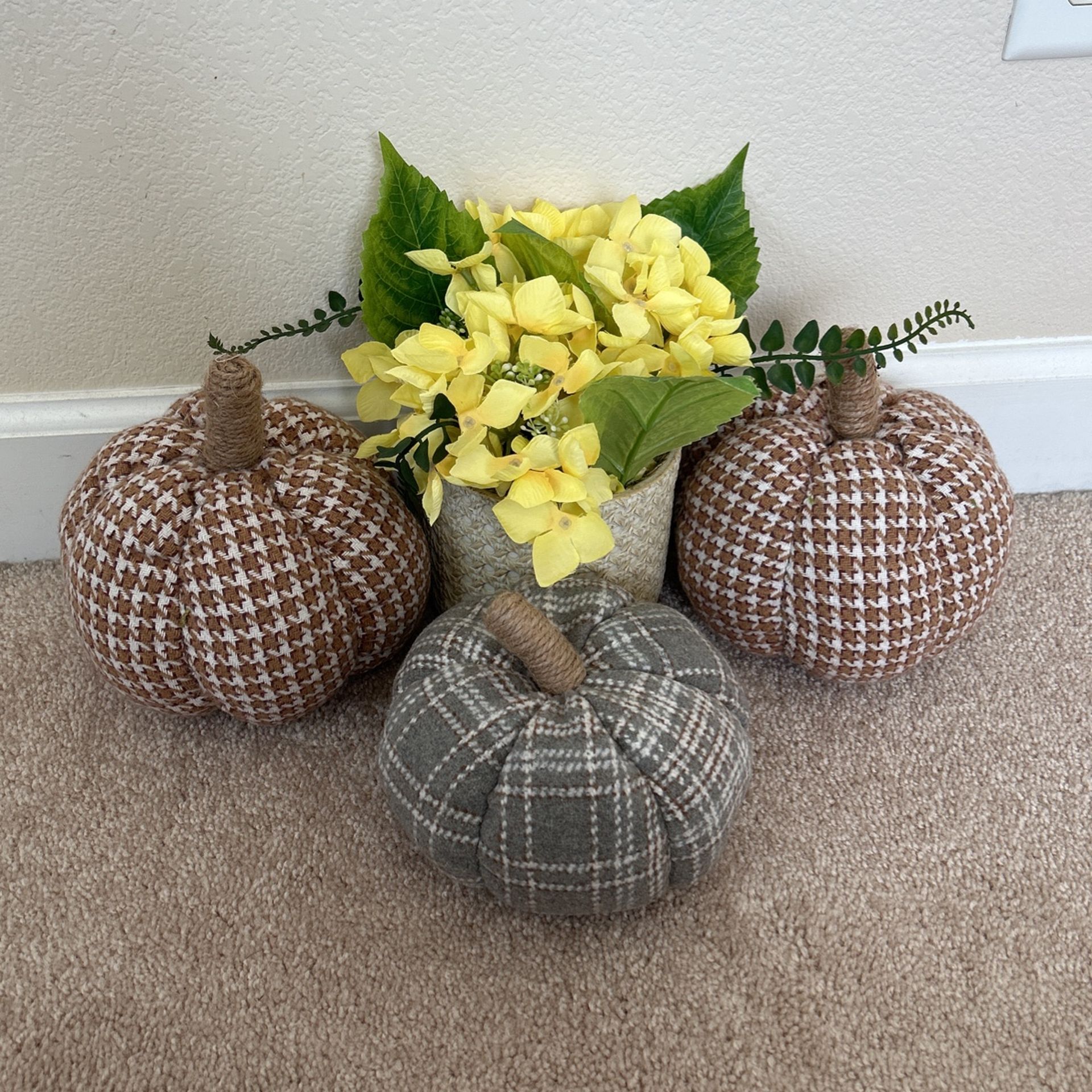 Fall Pumpkins And FAKE Plant
