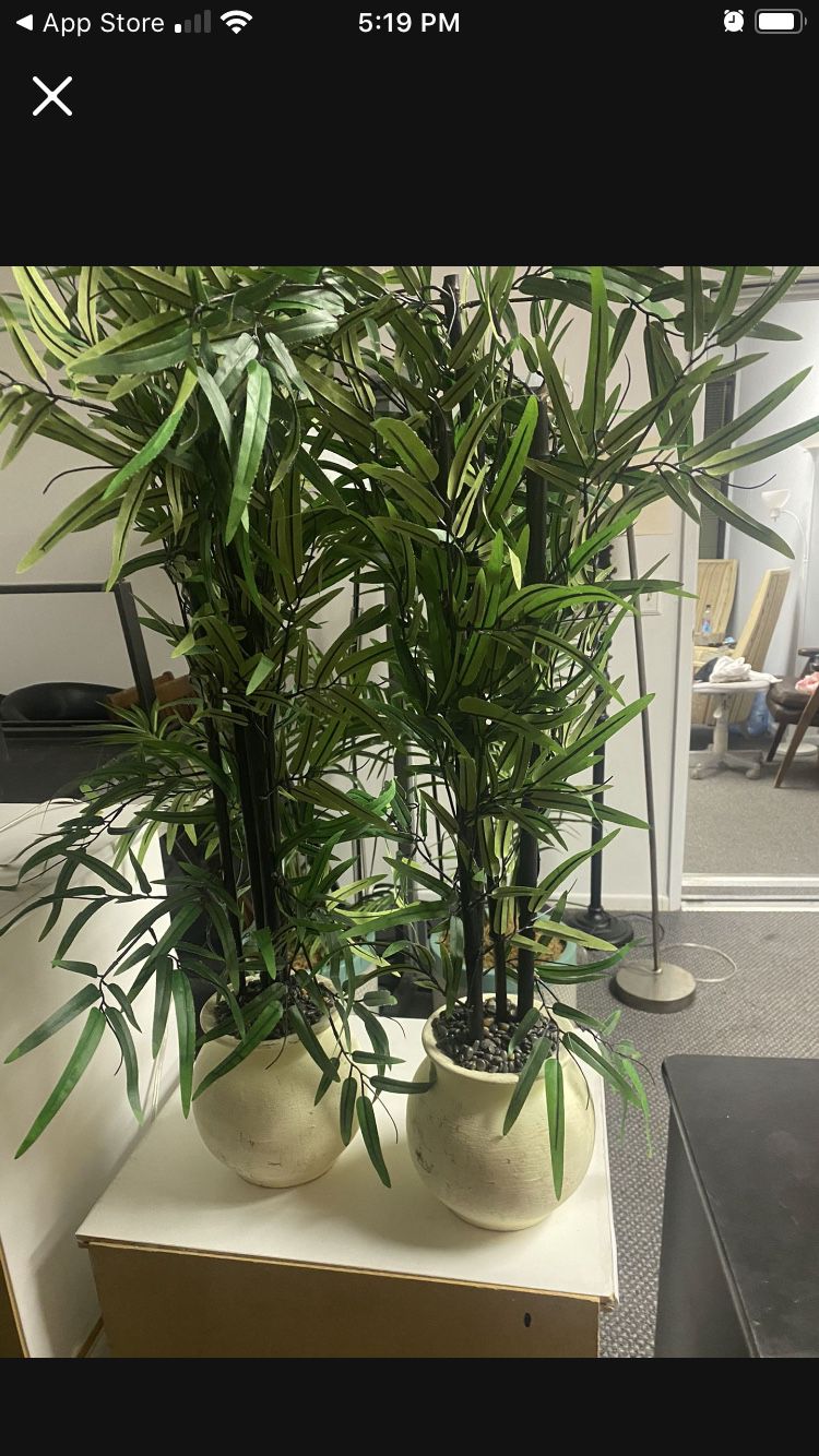 Set of 2 - Tall Fake Plants