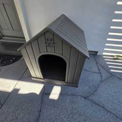 Dog House
