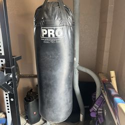 100lbs Punching Bag 