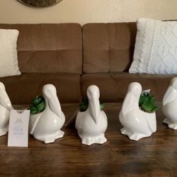 White Pelican Faux Succulent Plants