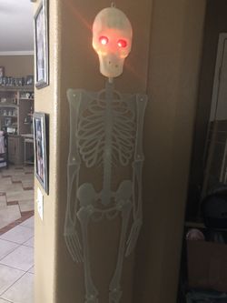 5ft light up skeleton