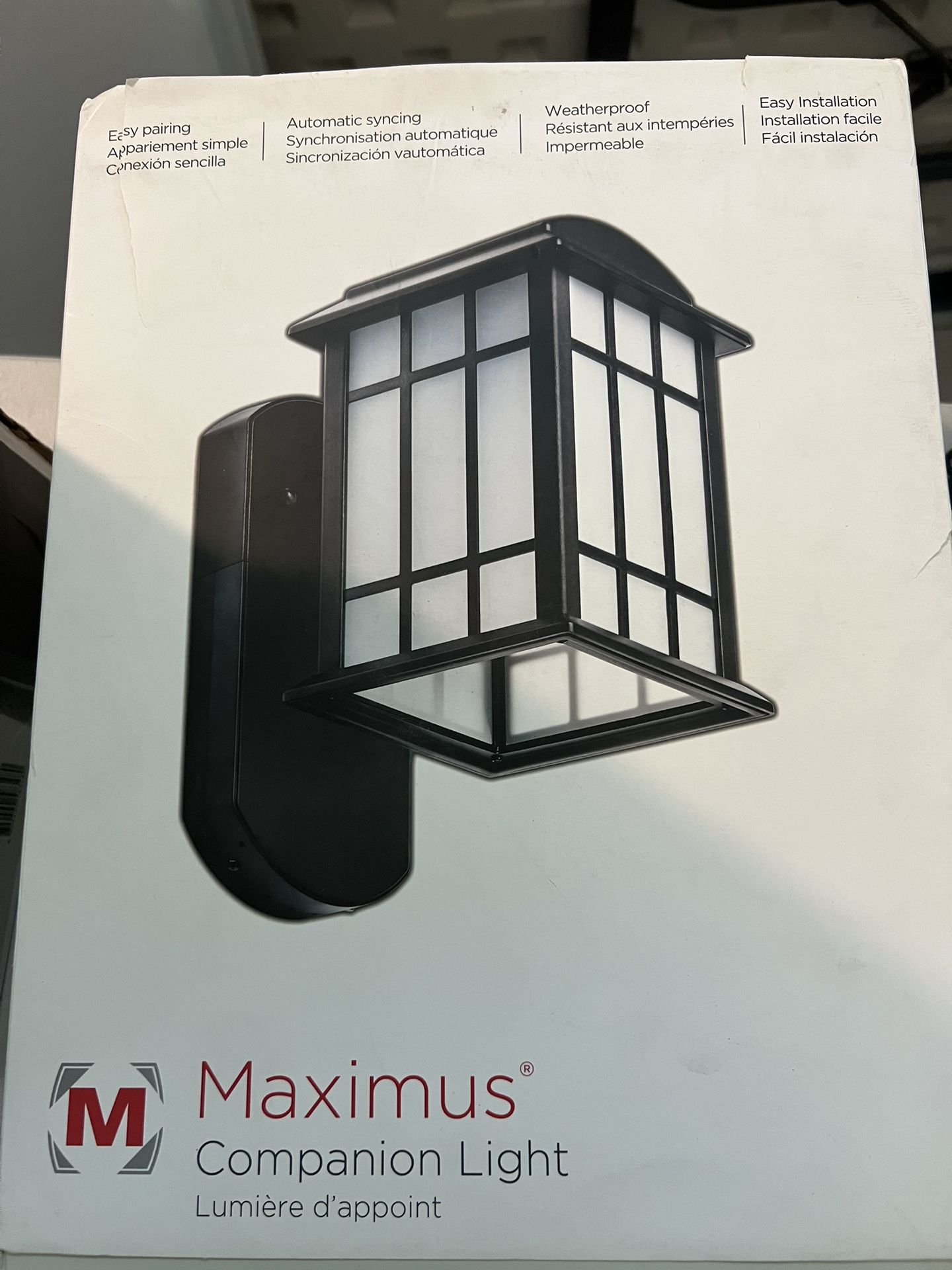 Smart Security Light