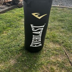 Everlast 40 Pound Punching Bag