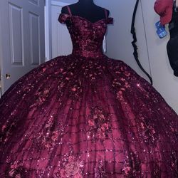 quinceañera Dress 