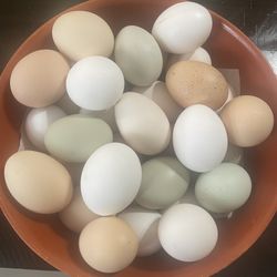 eggs