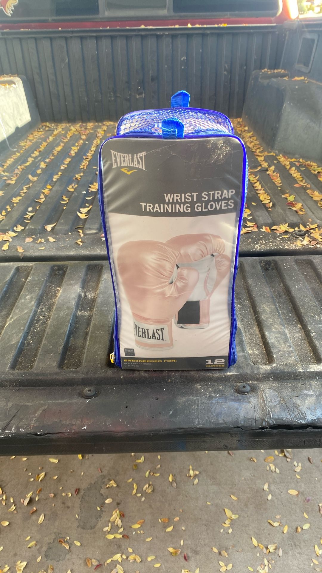 Everlast Boxing Gloves (pink)