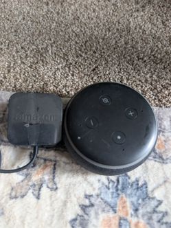 Echo dot speaker
