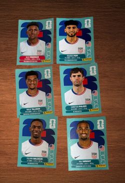 PANINI WORLD CUP USA SOCCER TEAM. LOT OF 6 STICKERS.(SELLER WILL BE AWAY UNTIL JULY 10)