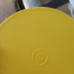 Vintage Tupperware Yellow Canister with Lid