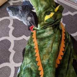 Dog Halloween Costumes Three Different Sizes