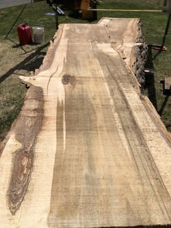 Black cottonwood live-edge slabs