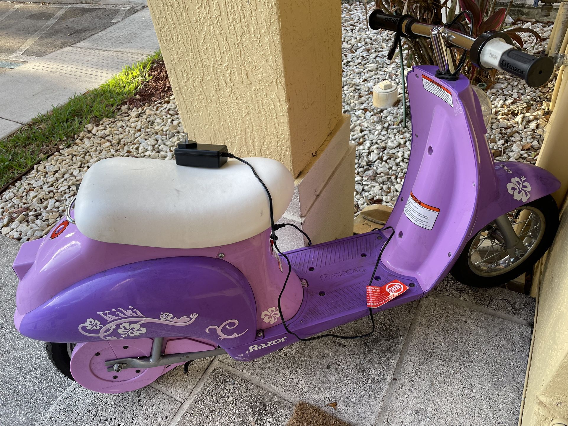Razor Electric Scooter