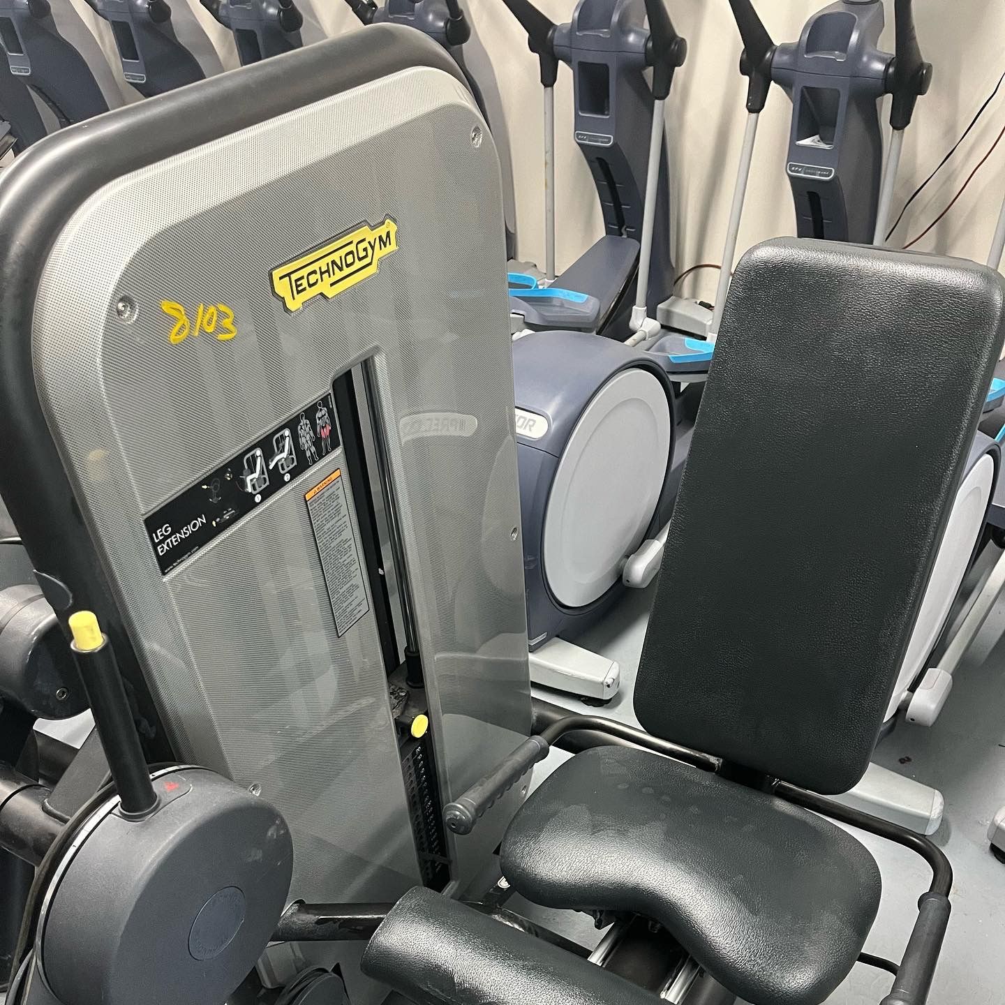 Technogym Leg Extension