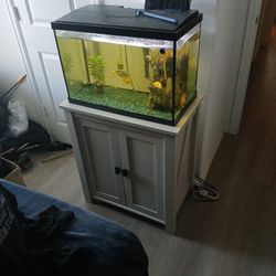 Twenty gallon