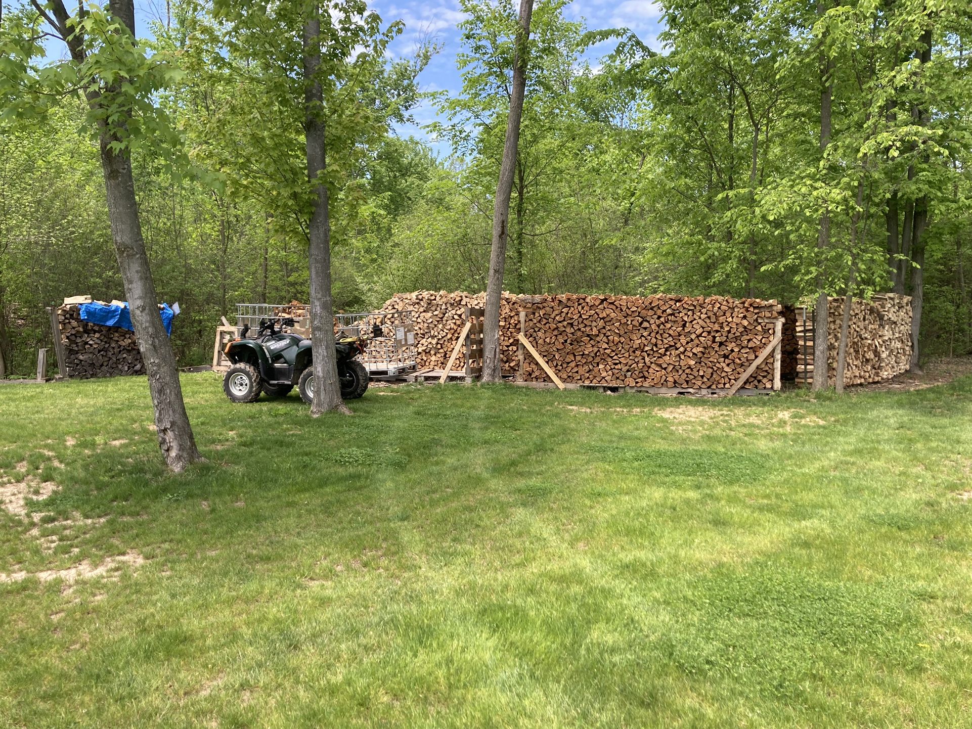 Cherry Firewood