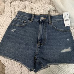 pacsun shorts