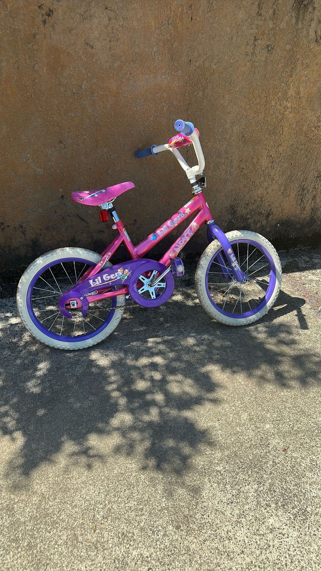 Small Girls Bike