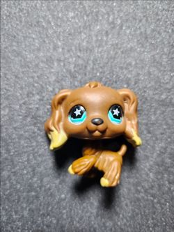 Lps $960 dark Brown cocker spaniel dog