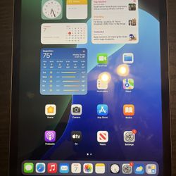 iPad 2021 Grey 256 G