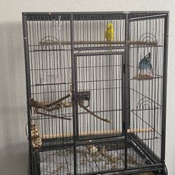 Large bird cage 