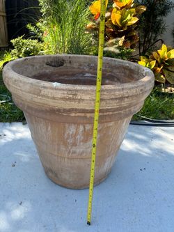Large Terra Cotta Planter