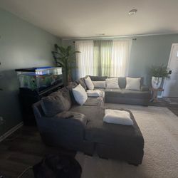 3 Month Old Sectional Couch