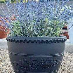 Terracotta Clay Pots