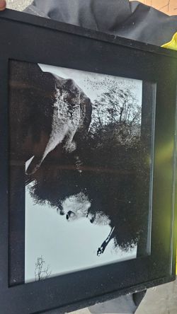 Rare Questlove print