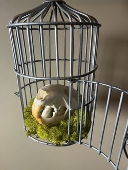 Beaver Skull In Bird Cage 
