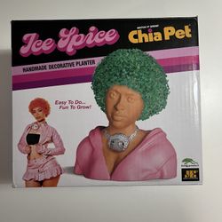 Ice Spice Chia Pet
