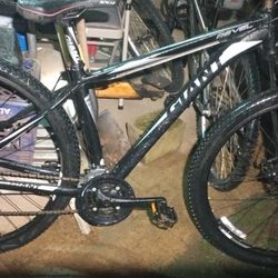 Giant Bike