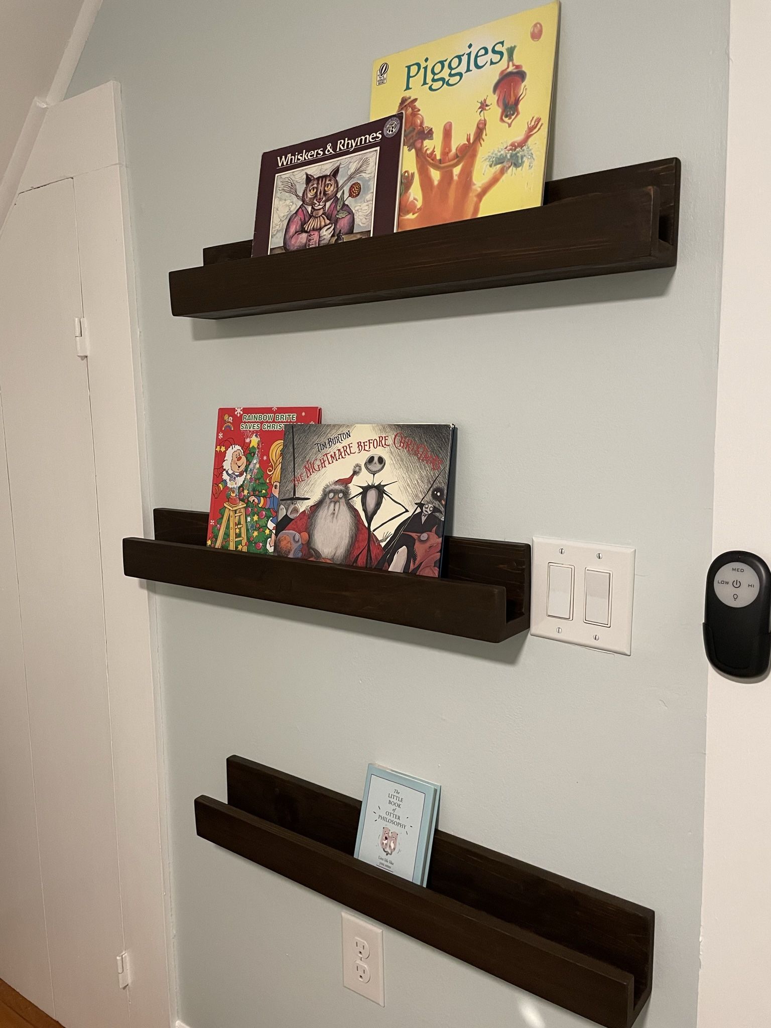 Custom Book Shelves