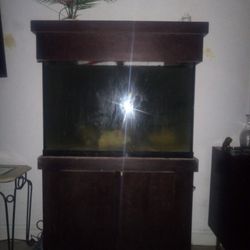 40 Gallon Fish Tank For Sale  120$$