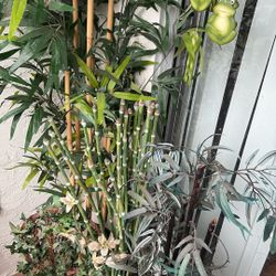 Bundle Of Artificial Plants