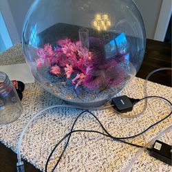 biOrb Classic 15 gal (60L)