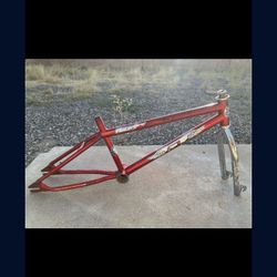 1993 MACH ONE 20” Frame Set