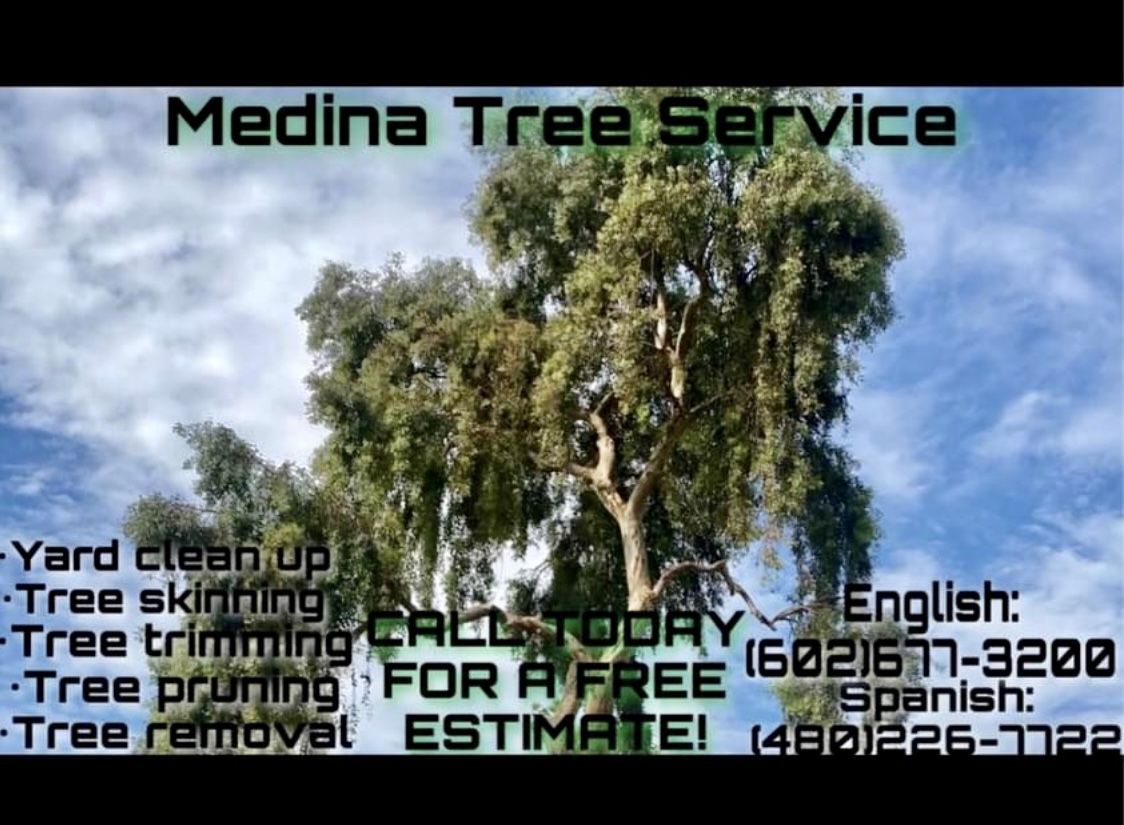 Tree Trimming 