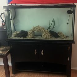 65 Gallon Tank 