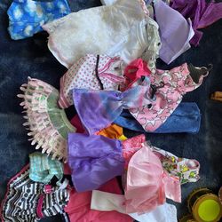 Barbie Dolls Disney Barbies Barbie Accessories 