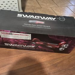 hoverboard swagway