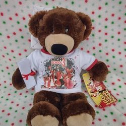 Disney Build A Bear Exclusive High School Musical Graduate Bear W/ Tag