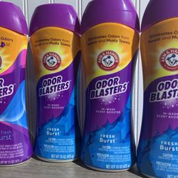 4/$12 Arm And Hammer Odor Blaster 